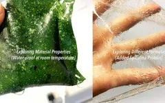 海藻包裝：可持續(xù)發(fā)展的未來？