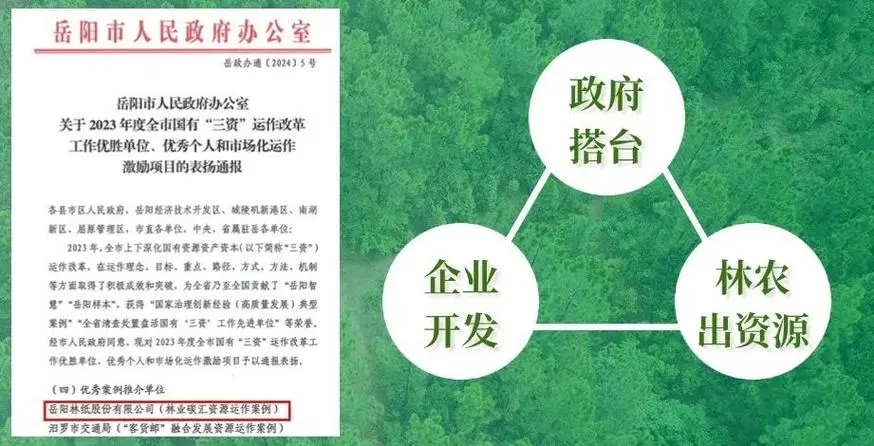 岳陽林紙2023年實現營收86.41億元 碳匯業務崛起成為新增長極