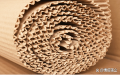 到2029年，數字印刷包裝市場價值462億美元