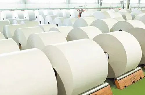 從2023年紙廠、紙機(jī)、產(chǎn)能與消費(fèi)量看歐洲造紙業(yè)的大洗牌！